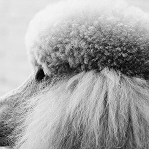 游戏账号被封法律维权_暗区突围账号被封处理方法_暗区突围为什么有外挂